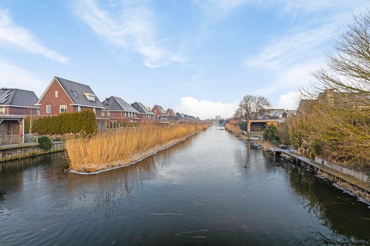 Photo 53 of Purperreiger 42