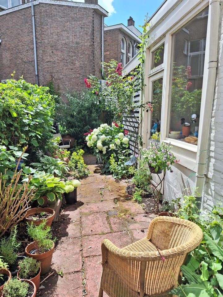 Foto 19 van Rembrandtkade 26