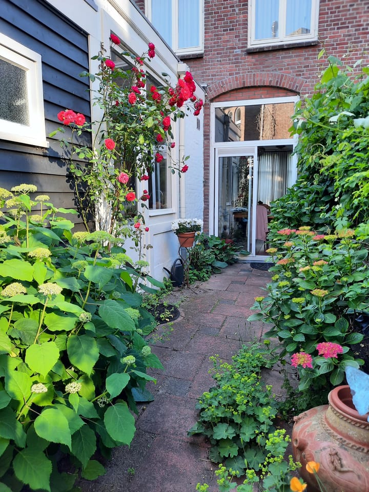 Foto 20 van Rembrandtkade 26