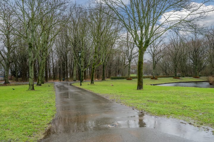 Foto 22 van Titus Brandsmastraat 6