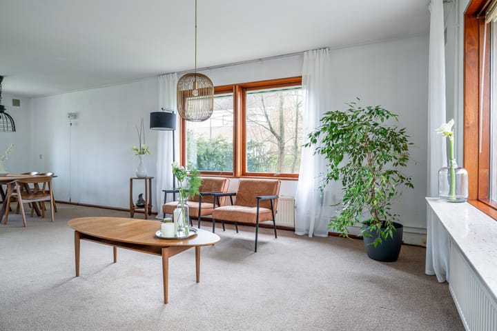 Photo 10 of De Terp 16