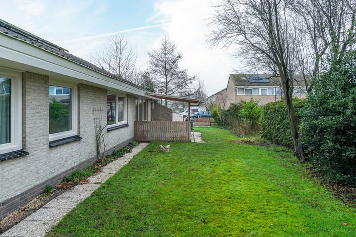 Photo 31 of De Terp 16