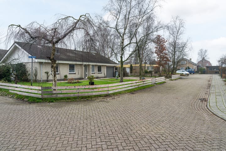 Photo 39 of De Terp 16