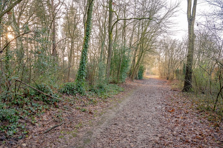 Foto 3 van Hendrik Mesdagstraat 3