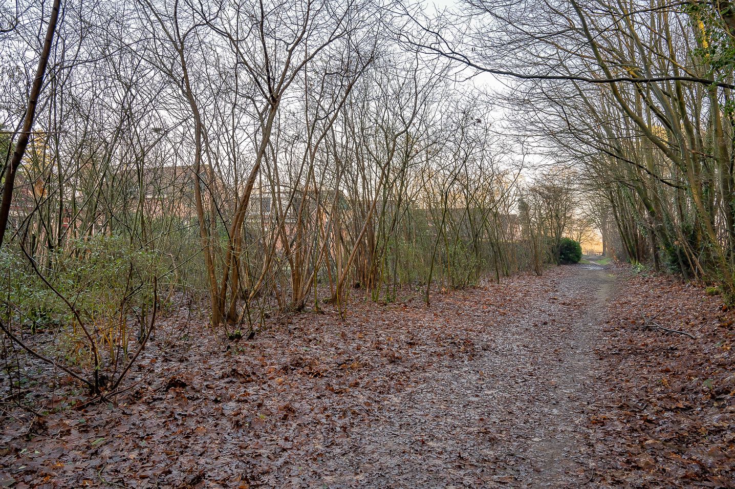 Foto 35 van Hendrik Mesdagstraat 3