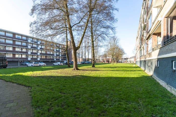 Photo 24 of Staringlaan 206