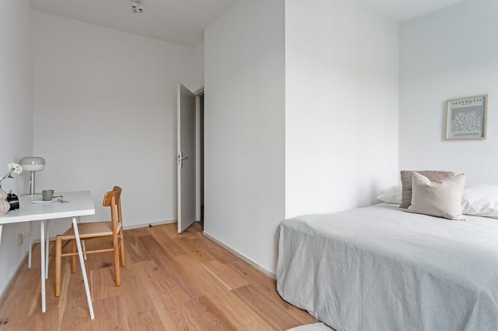 Photo 23 of Van Woustraat 50-C