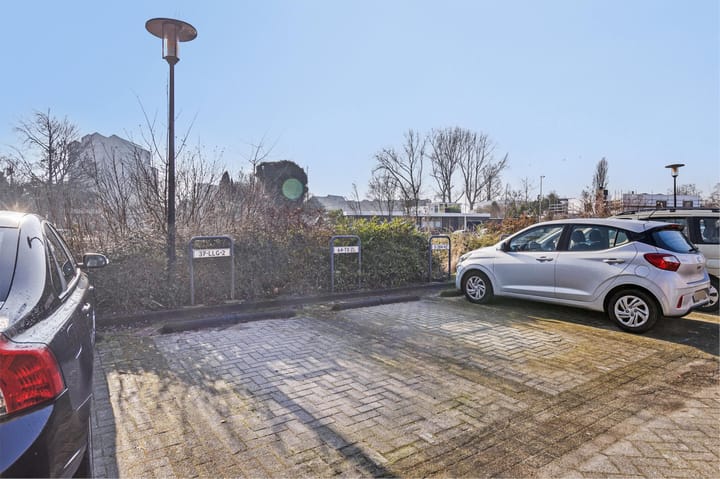 Foto 25 van Rosa Manushof 22