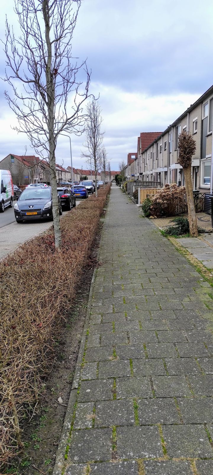 Foto 37 van Gipskruidweg 183