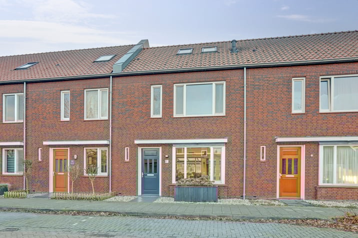 undefined main image
