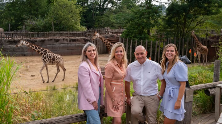 A promotional picture for the office