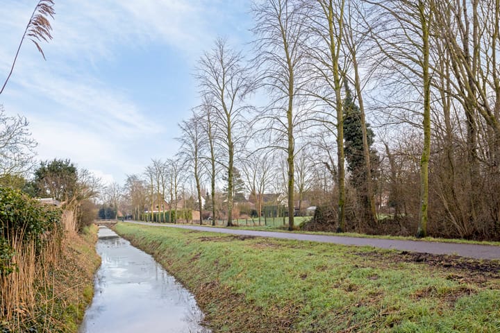 Foto 31 van De Looier 1