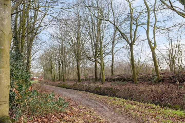 Foto 32 van De Looier 1