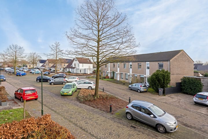 Foto 33 van De Looier 1