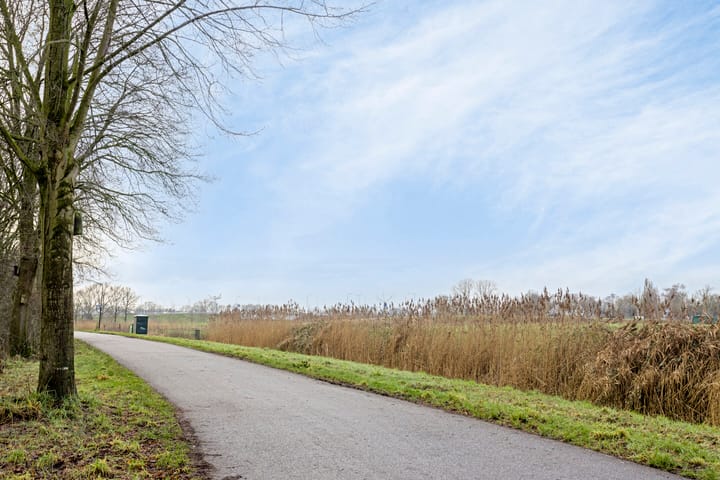 Foto 37 van De Looier 1