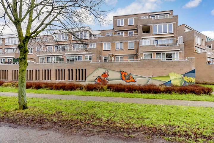 Foto 7 van Harderwijkoever 42