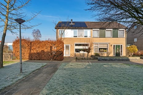 undefined main image