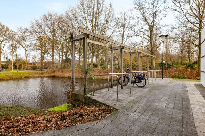 Foto 5 van De Lanen 37