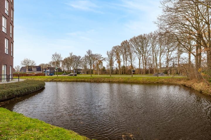 Foto 6 van De Lanen 37