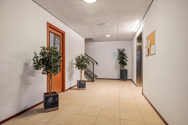 Foto 7 van De Lanen 37