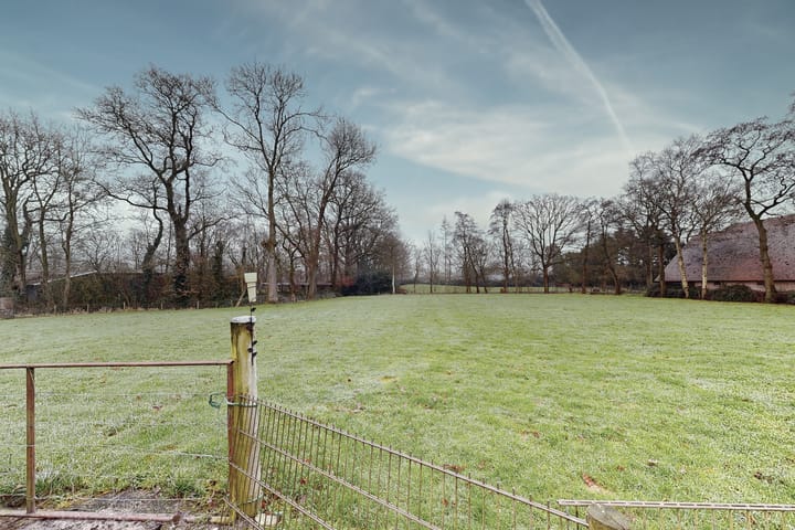 Foto 55 van Warreboslaan 31