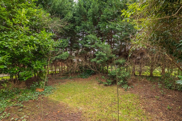 Foto 42 van Noppenstraat 36