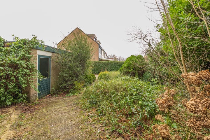 Foto 49 van Noppenstraat 36