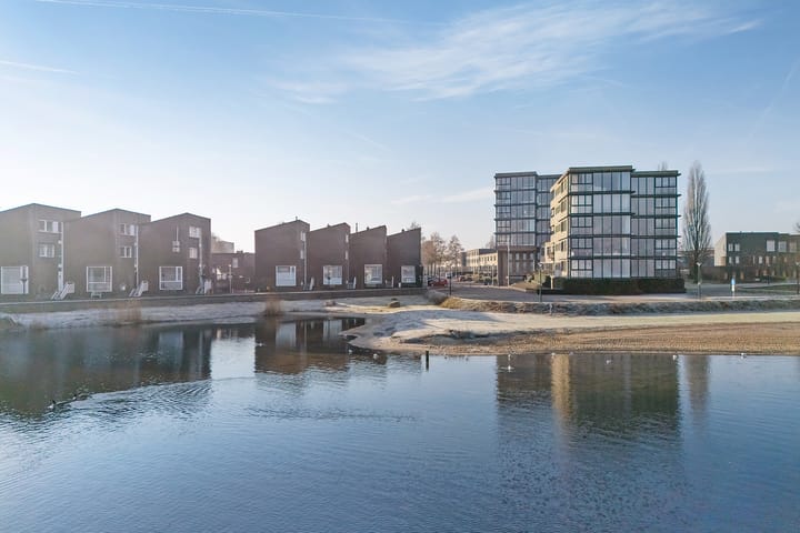 Foto 3 van Lisdodde 28