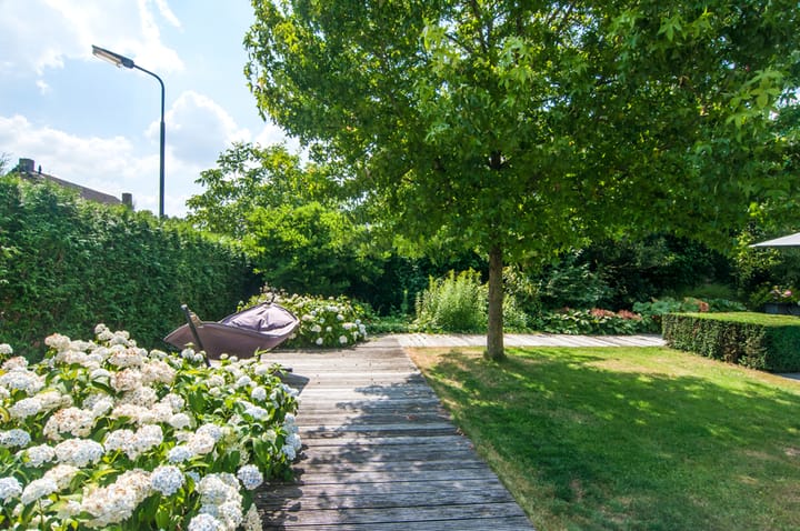 Foto 37 van Cruythof 5