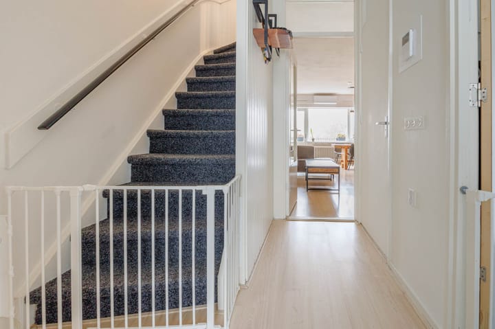 Photo 21 of Irislaan 233