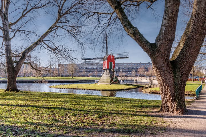 Photo 40 of Irislaan 233