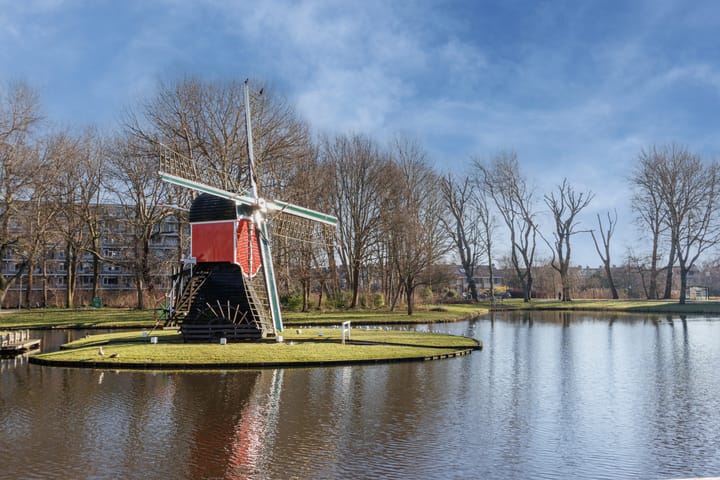 Photo 42 of Irislaan 233