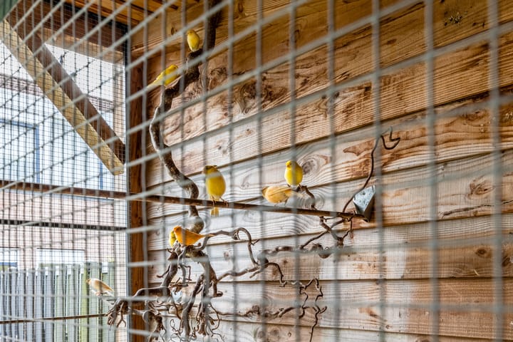 Foto 38 van Salkhof 2