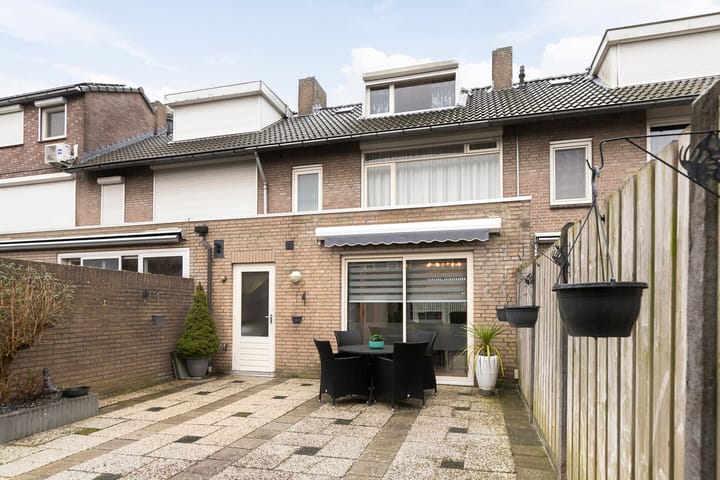 Foto 24 van Regulus 18