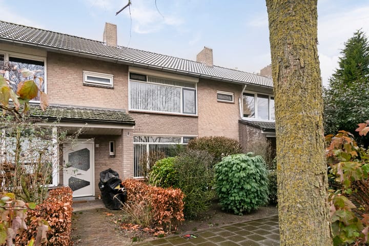 Foto 26 van Regulus 18