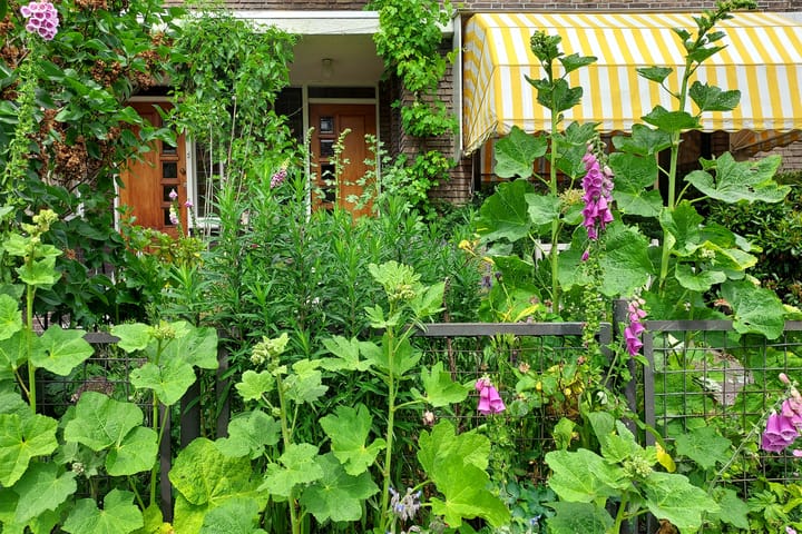 Foto 7 van Adrianalaan 143