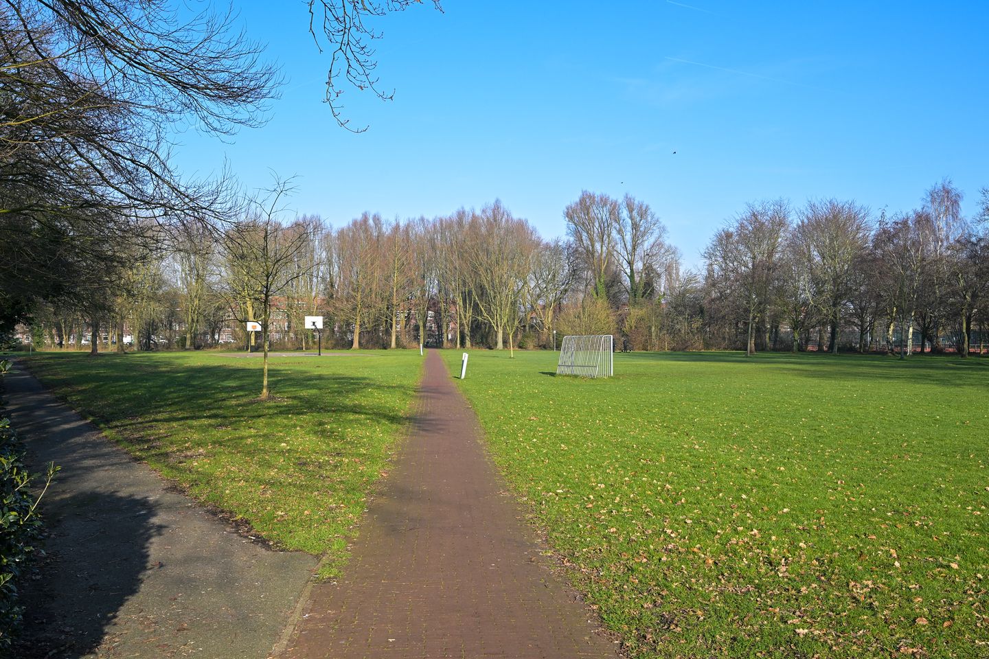 Photo 35 of Linnaeusstraat 275