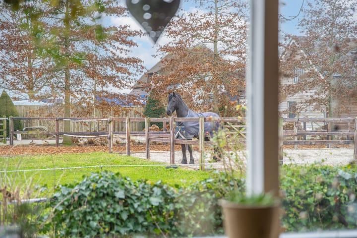 Foto 19 van Huisgardsesteeg 12