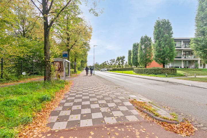 Foto 31 van Ds Theodor Fliednerstraat 213