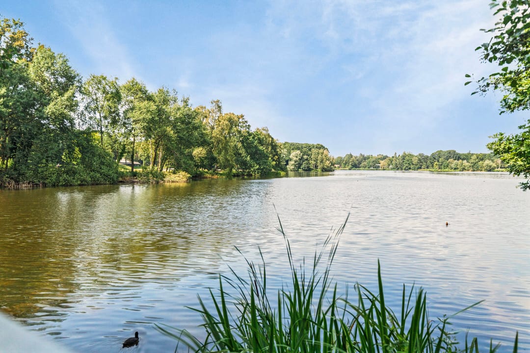 Foto 32 van Ds Theodor Fliednerstraat 213