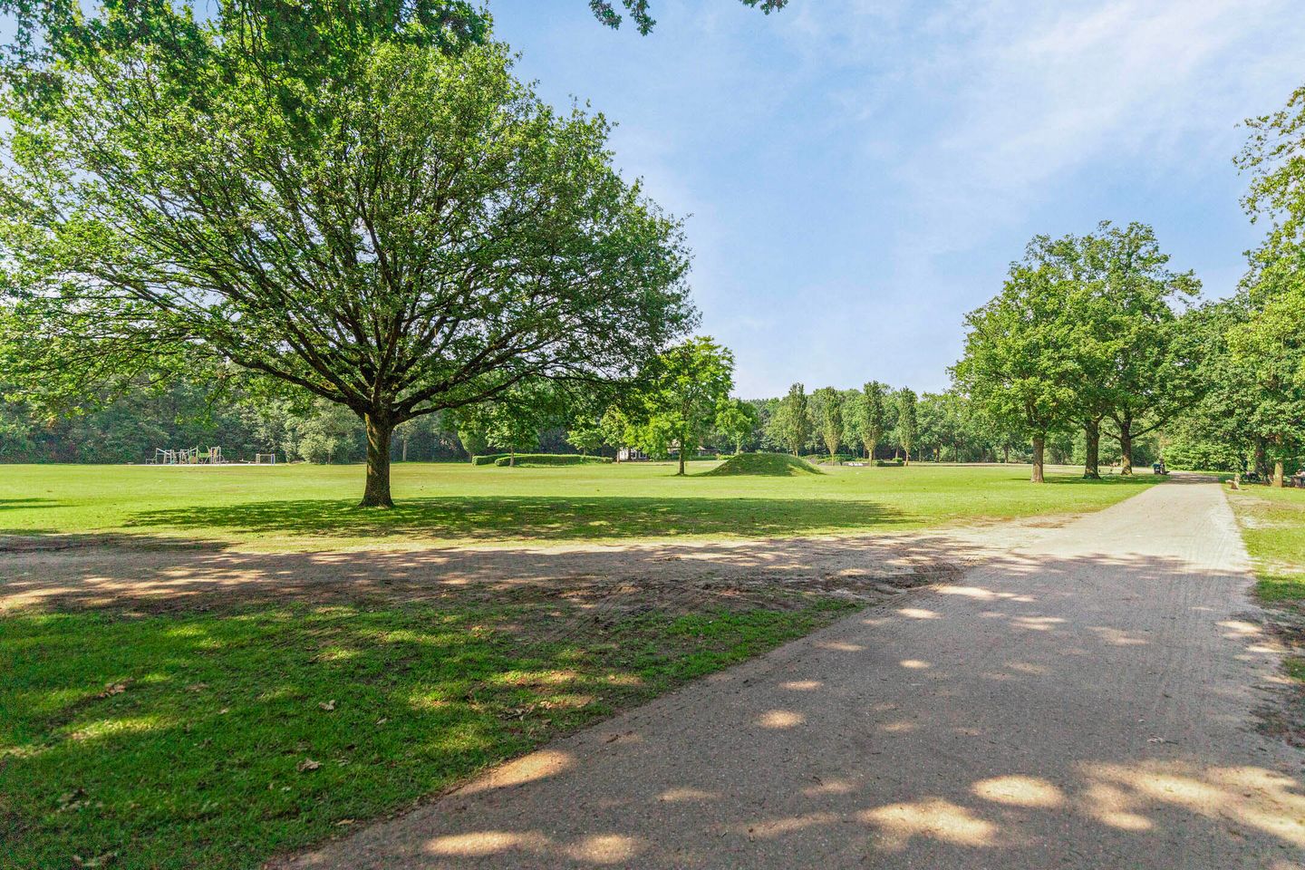 Foto 35 van Ds Theodor Fliednerstraat 213