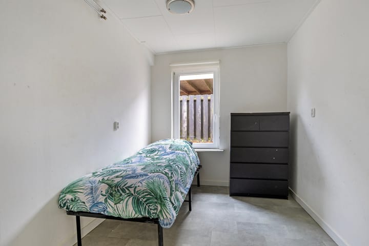 Foto 17 van Witte Paarden 17