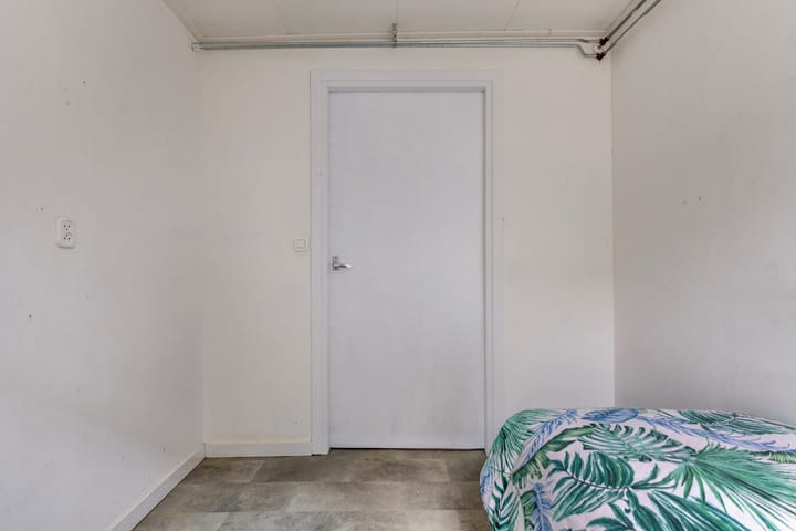 Foto 18 van Witte Paarden 17