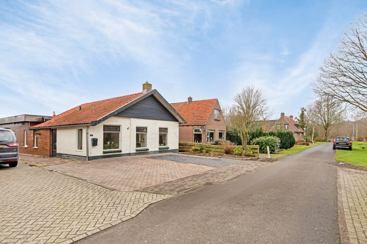 Foto 35 van Witte Paarden 17