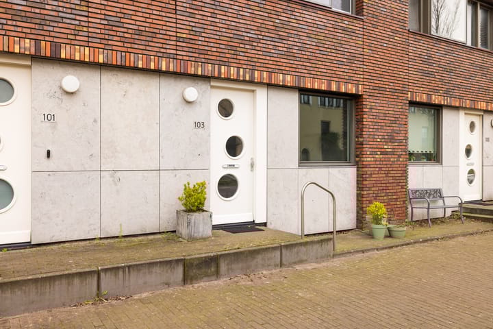 Foto 39 van Peter Martensstraat 103