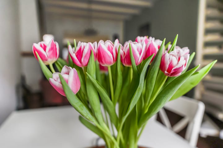 Foto 5 van Leeuwenhofje 22