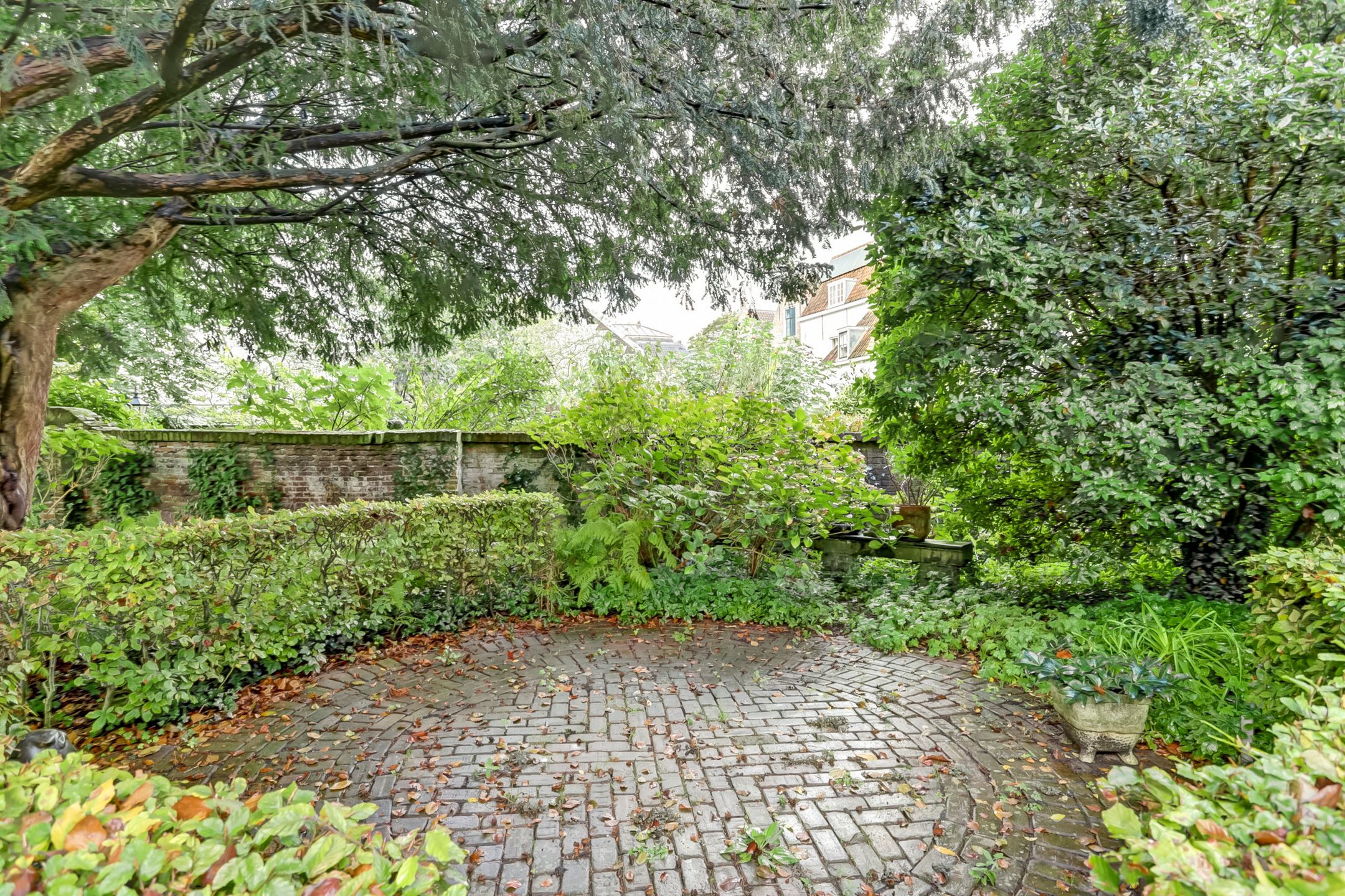 Foto 30 van Wagenaarstraat 12-E