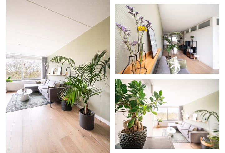 Photo 11 of Hofstraat 149