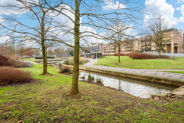 Photo 21 of Hofstraat 149