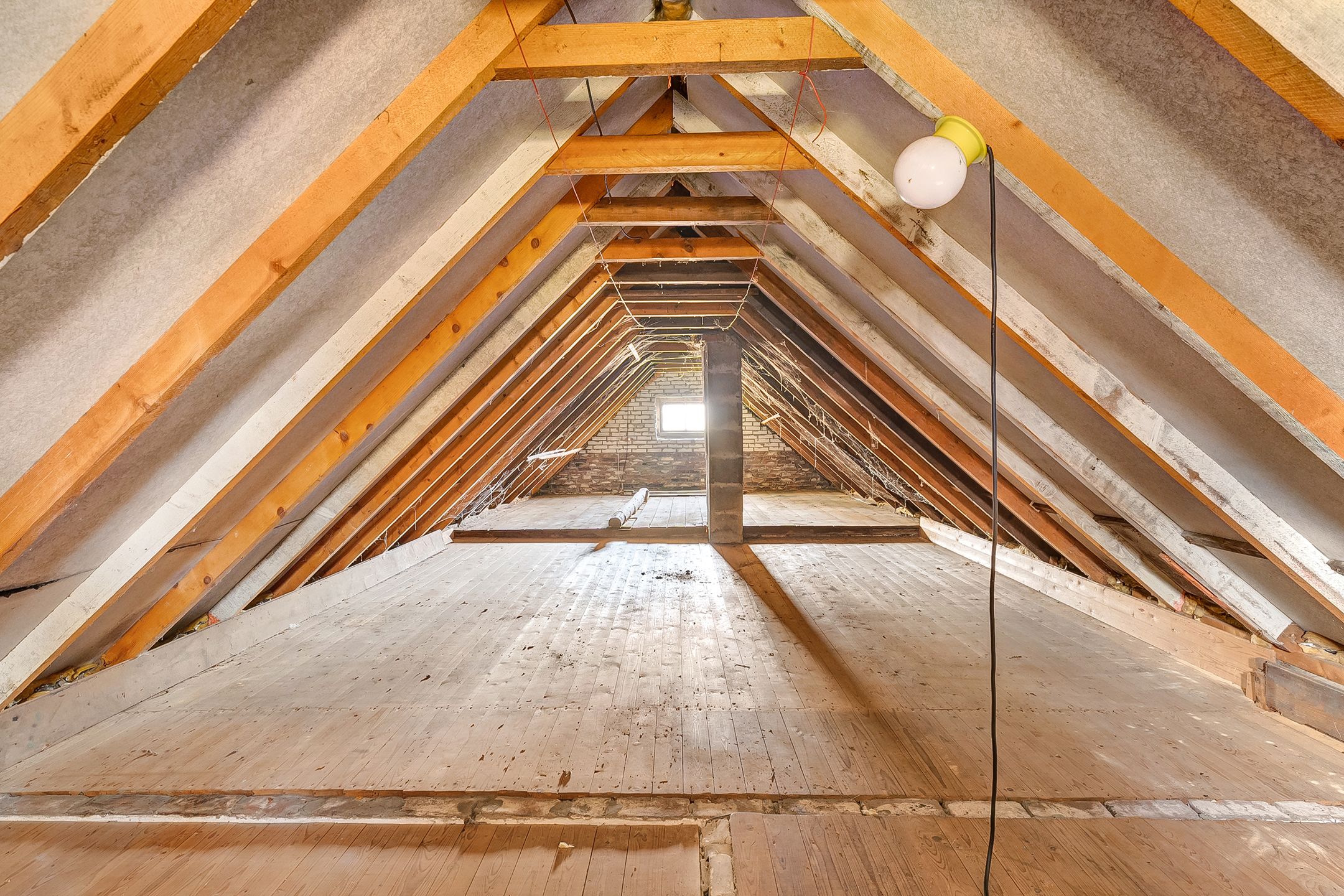 Foto 27 van Kippenburgweg 1